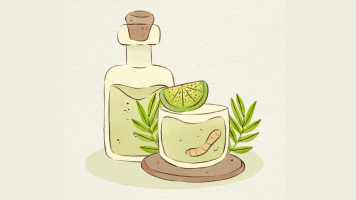 What Makes Gin, Gin The Ingredients & Botanicals That Define It