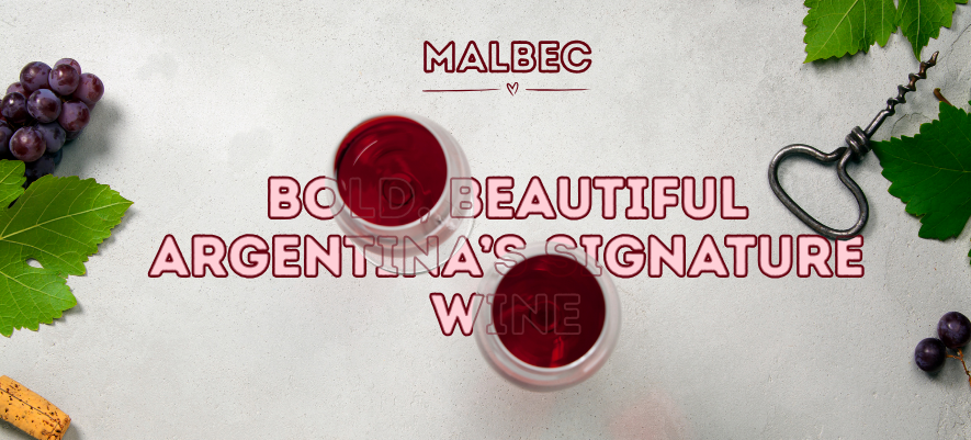 Malbec – Bold, Beautiful Argentina’s Signature Wine