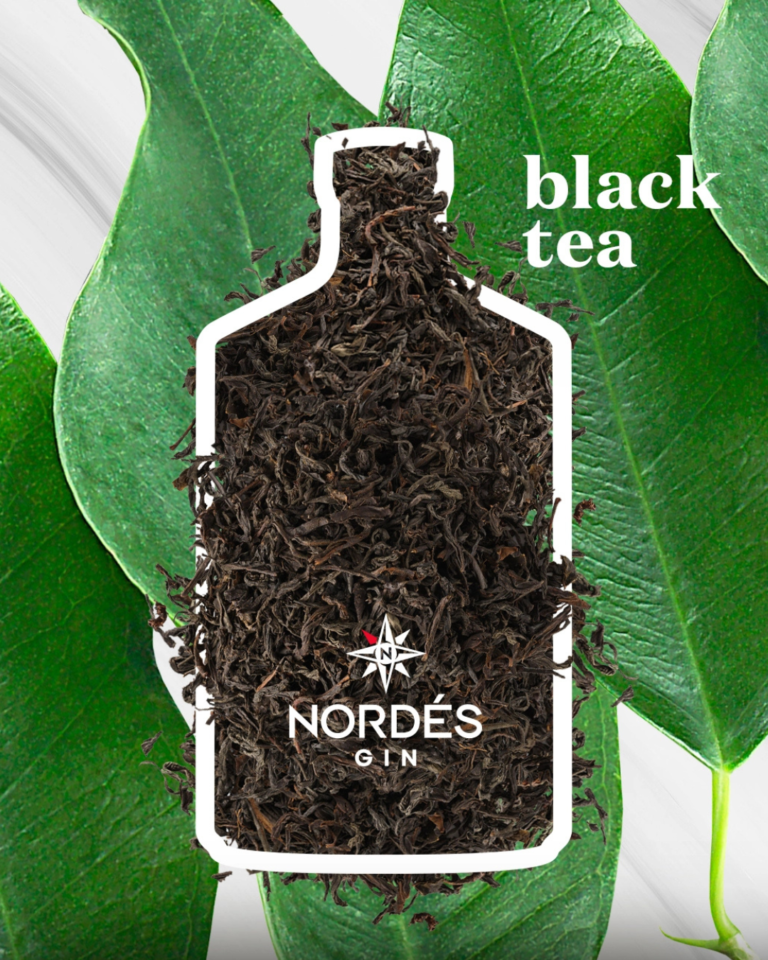 Nordes Gin - Inrenational Spirits In India (1)