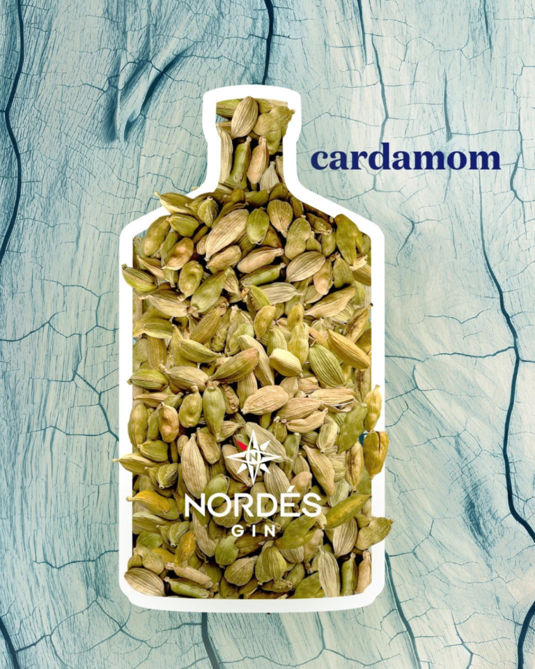 Nordes Gin - Inrenational Spirits In India (1)