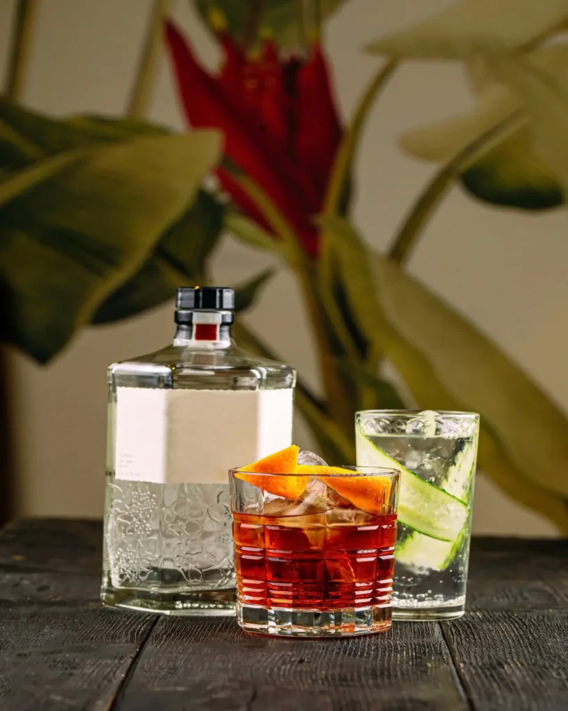Gin-for-mixers
