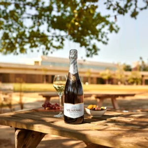 Vilarnau Cava Brut sparkling wine bottle imported in India by Mohan Brotherss LLP, A Solis Group Company