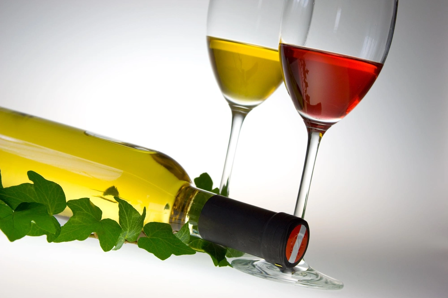 italian white wine vs french wine