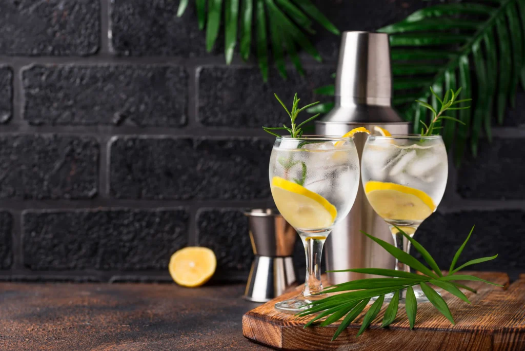 Gin styles cocktails with lemon
