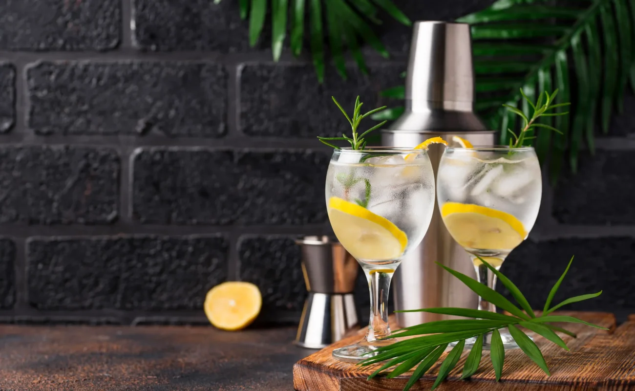 Gin styles cocktails with lemon